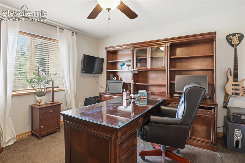 220 Eagle Pines Drive Woodland Park CO 80863