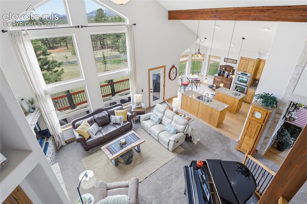 220 Eagle Pines Drive Woodland Park CO 80863