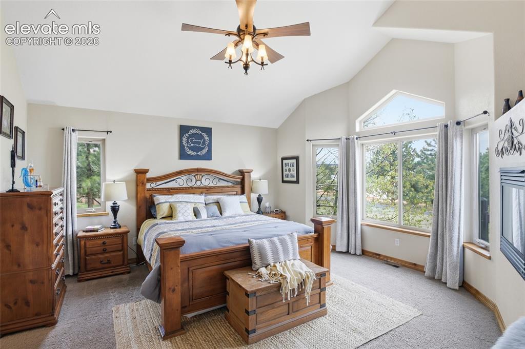 220 Eagle Pines Drive Woodland Park CO 80863