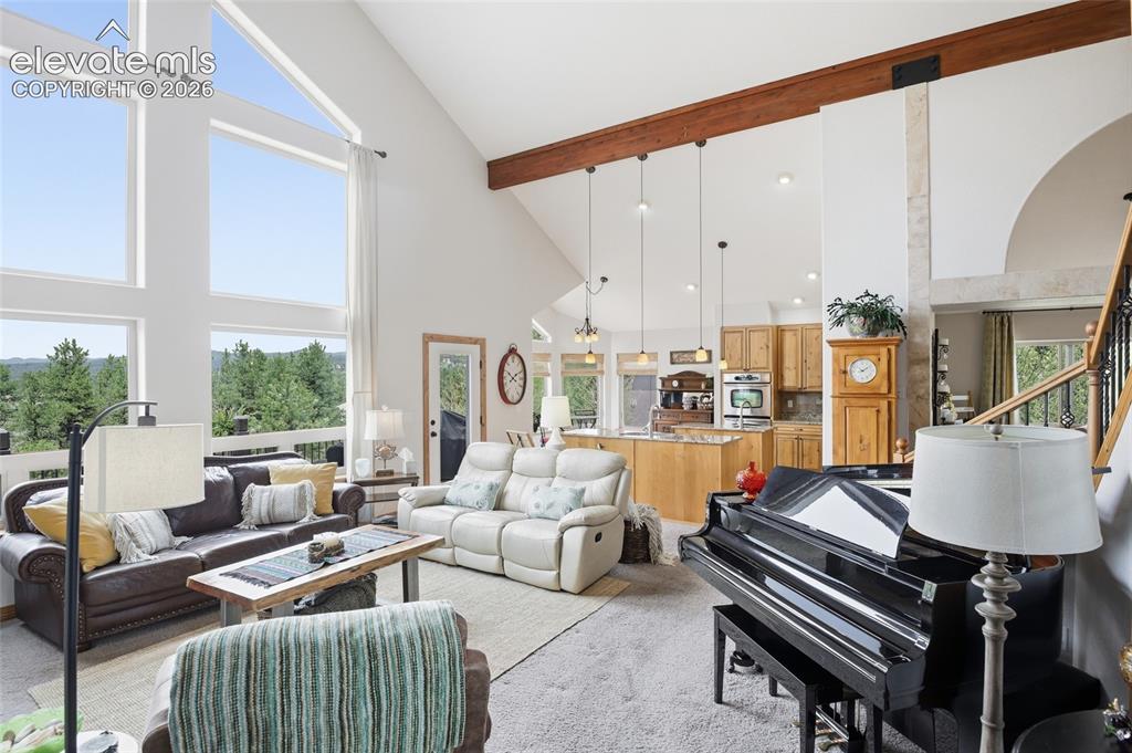 220 Eagle Pines Drive Woodland Park CO 80863