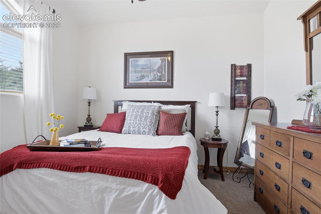 220 Eagle Pines Drive Woodland Park CO 80863