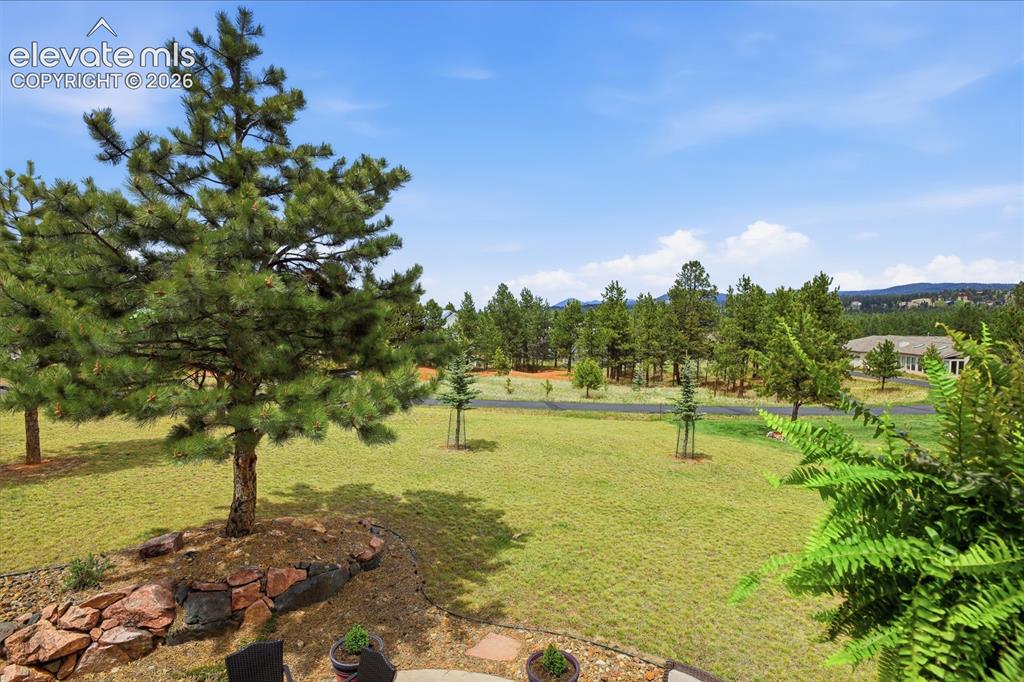 220 Eagle Pines Drive Woodland Park CO 80863