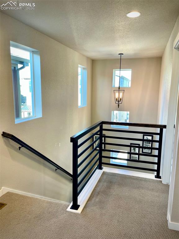 6144 Steele Creek Way Colorado Springs CO 80922