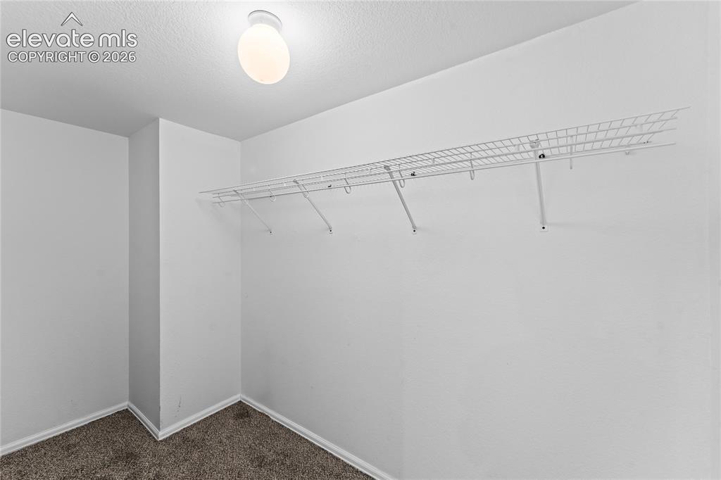 1526 Chutney Court Colorado Springs CO 80907