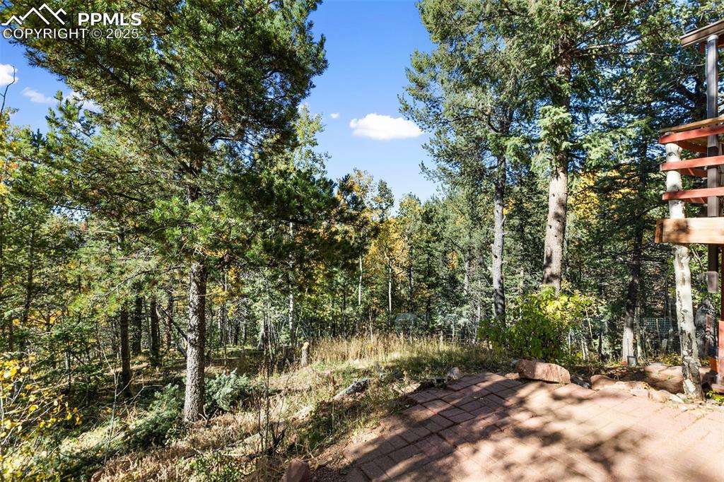 679 Calcite Drive Divide CO 80814