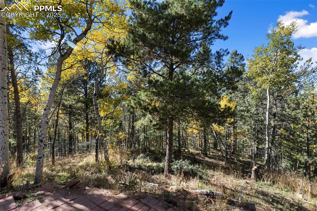 679 Calcite Drive Divide CO 80814
