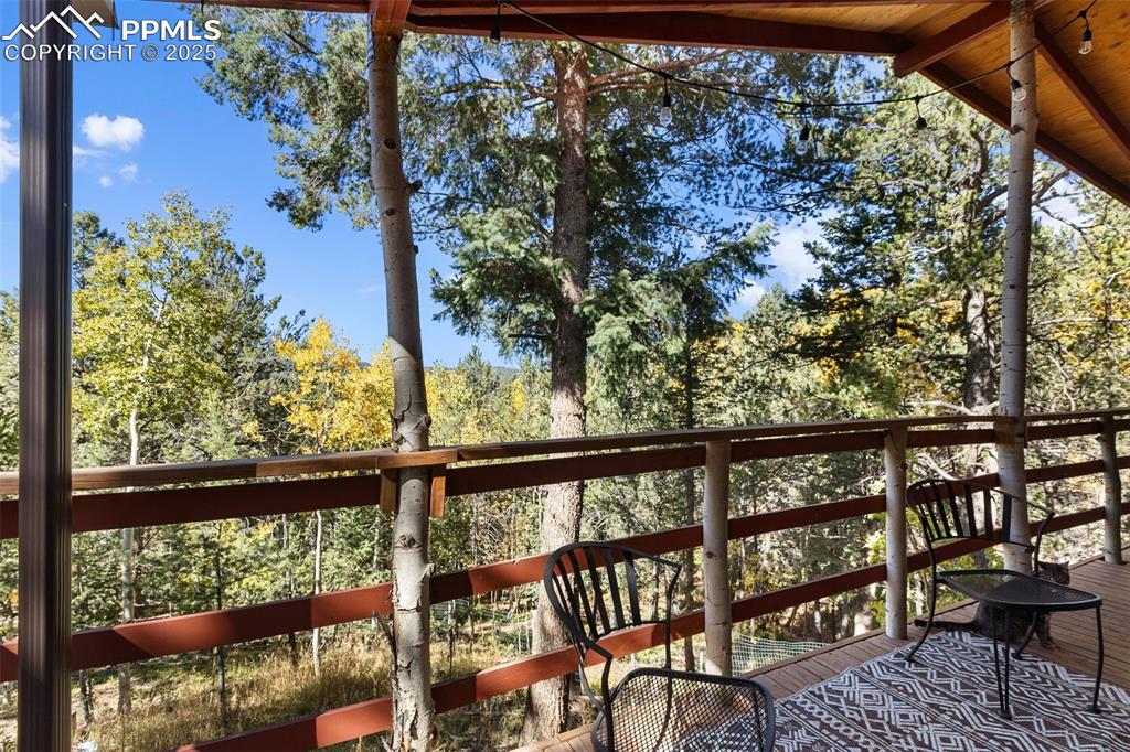 679 Calcite Drive Divide CO 80814