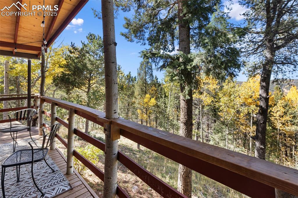 679 Calcite Drive Divide CO 80814