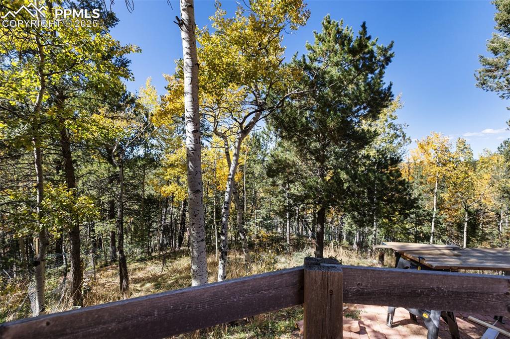 679 Calcite Drive Divide CO 80814