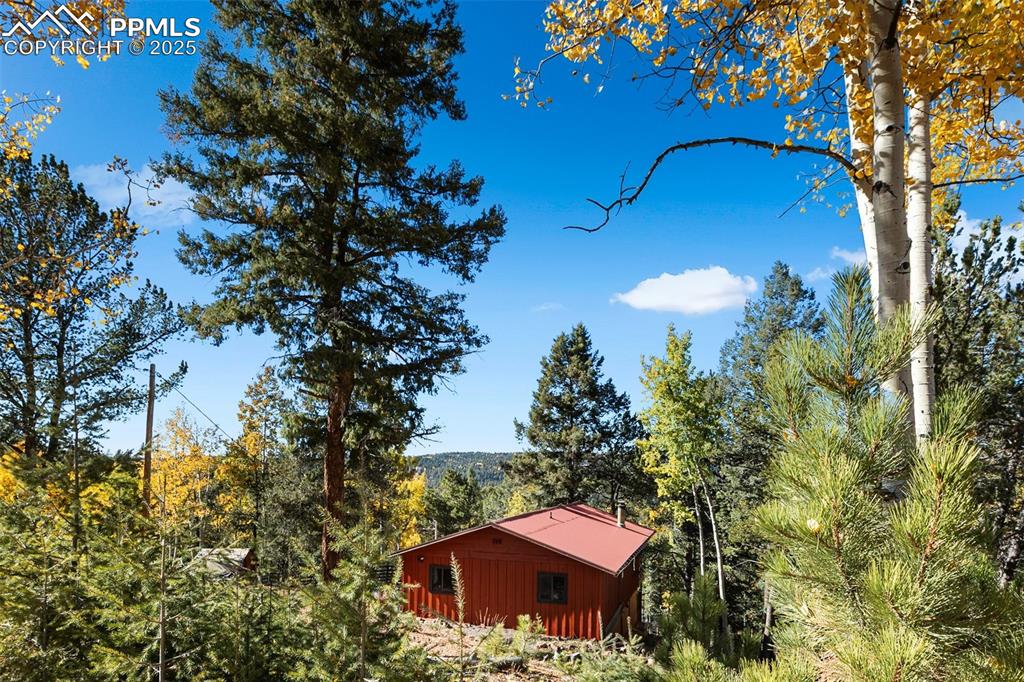 679 Calcite Drive Divide CO 80814