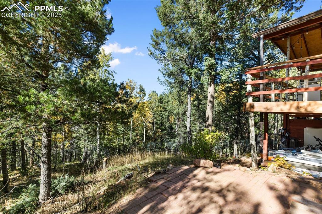 679 Calcite Drive Divide CO 80814