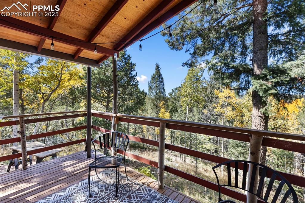 679 Calcite Drive Divide CO 80814