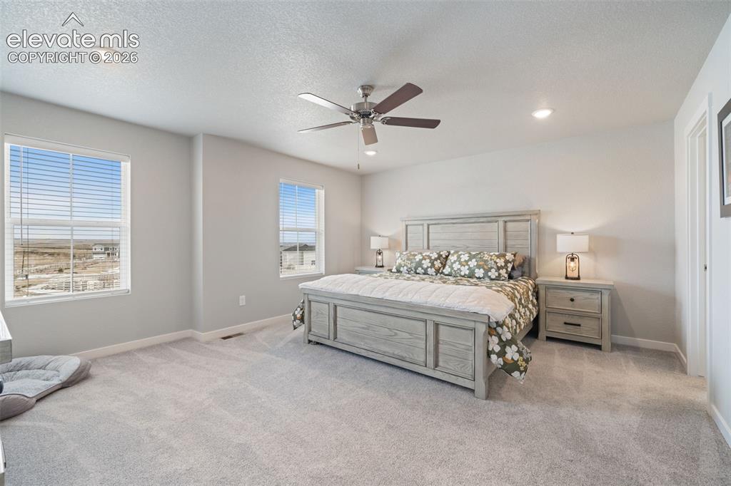 5105 Beartrack Point Colorado Springs CO 80925