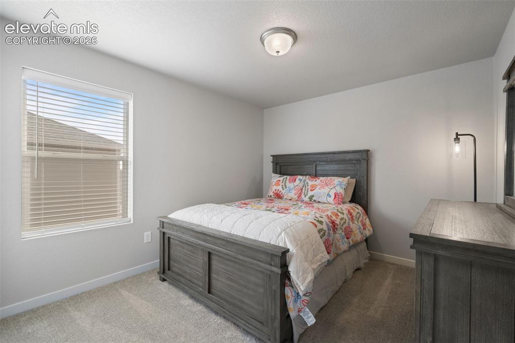5105 Beartrack Point Colorado Springs CO 80925