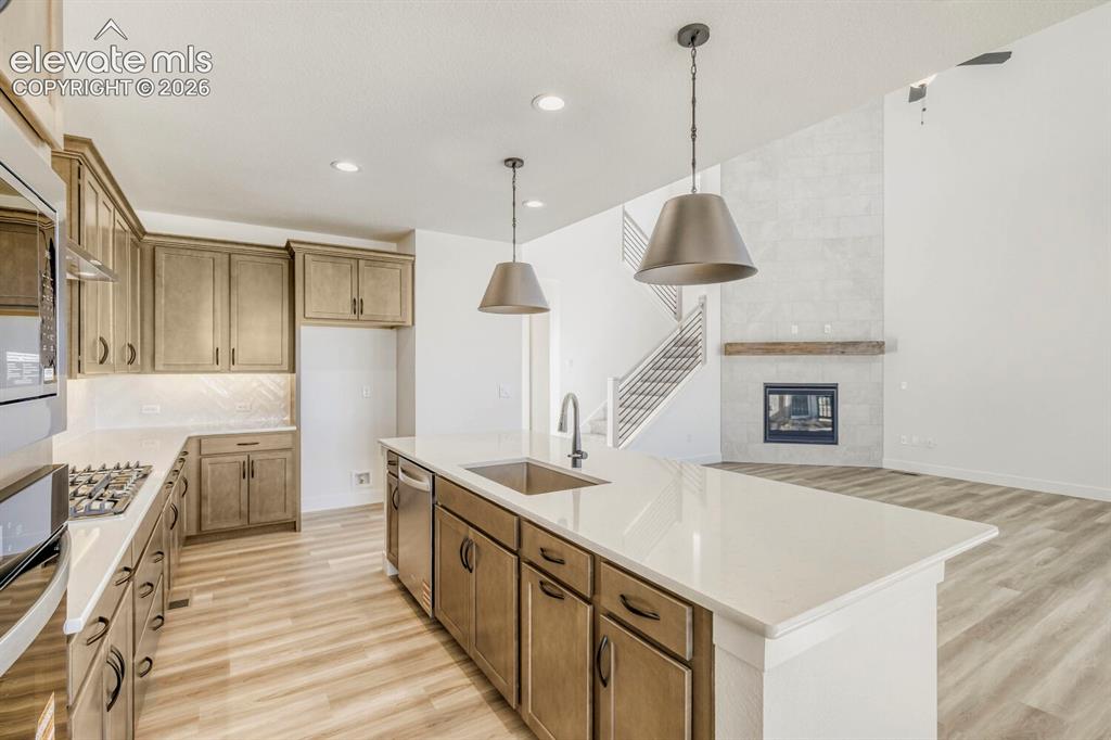 8734 San Diego Way Colorado Springs CO 80908