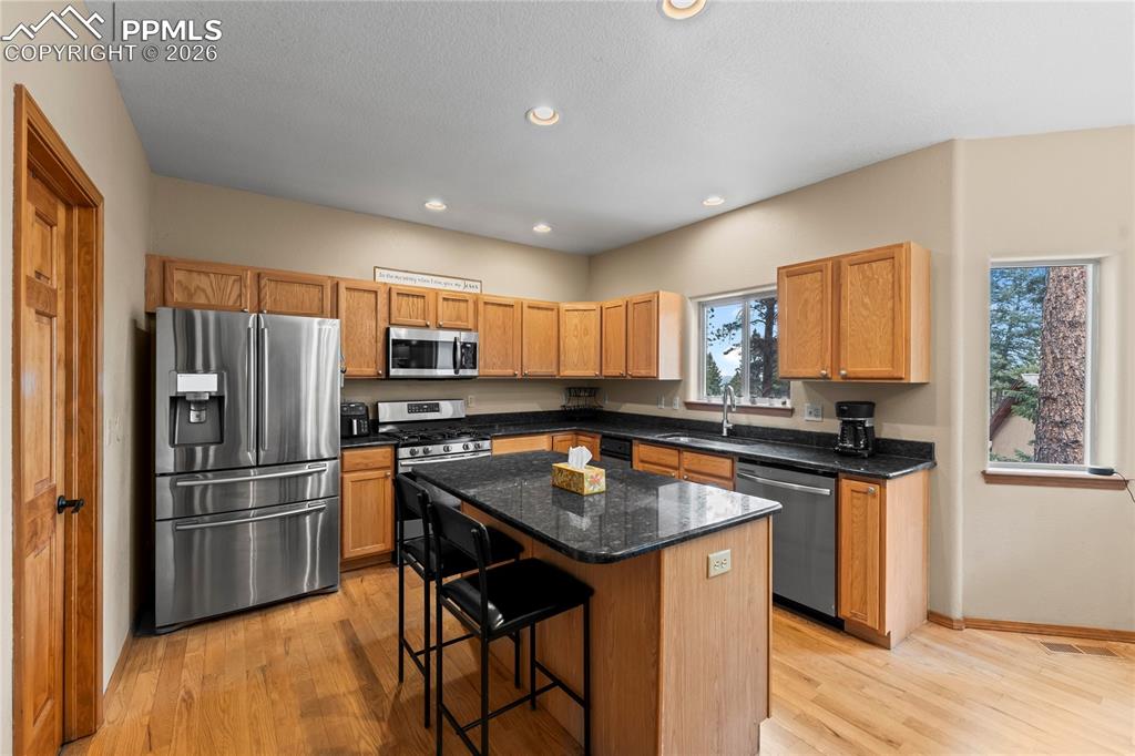 1308 Spruce Ridge Lane Woodland Park CO 80863