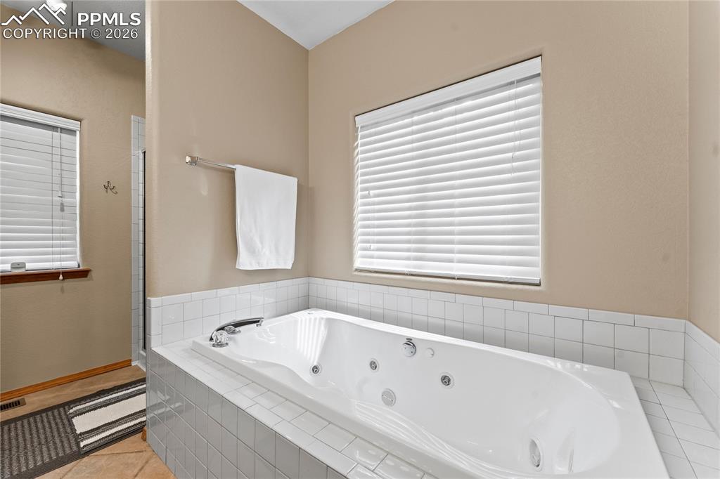 1308 Spruce Ridge Lane Woodland Park CO 80863