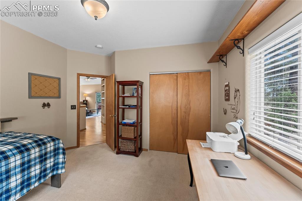 1308 Spruce Ridge Lane Woodland Park CO 80863