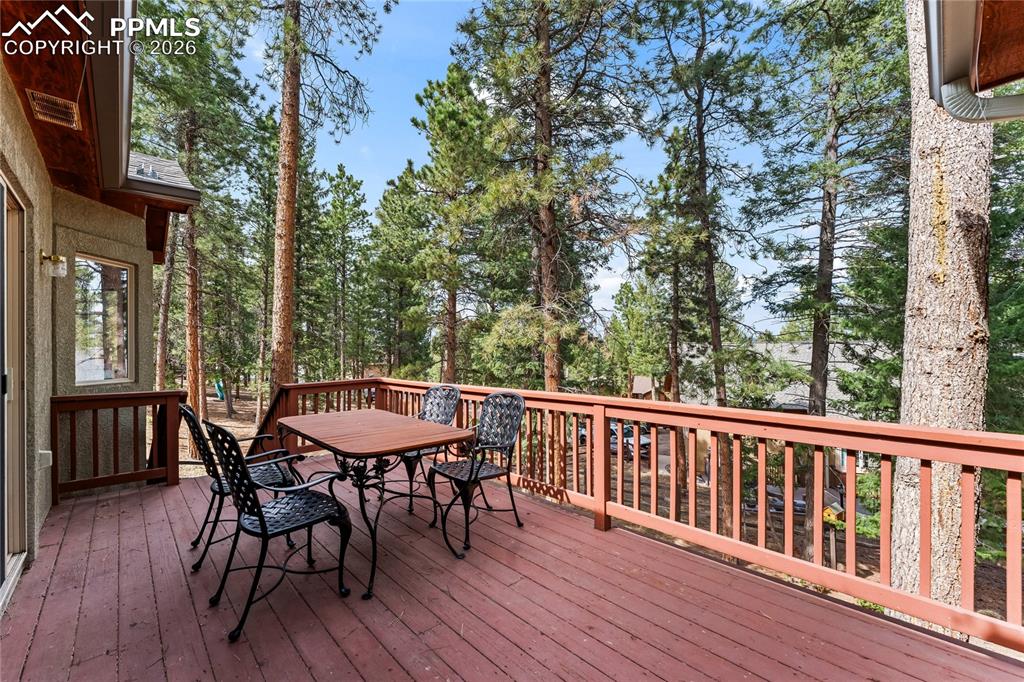 1308 Spruce Ridge Lane Woodland Park CO 80863