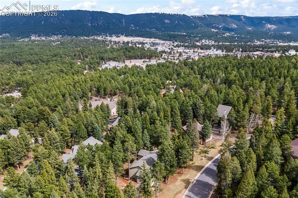 1308 Spruce Ridge Lane Woodland Park CO 80863