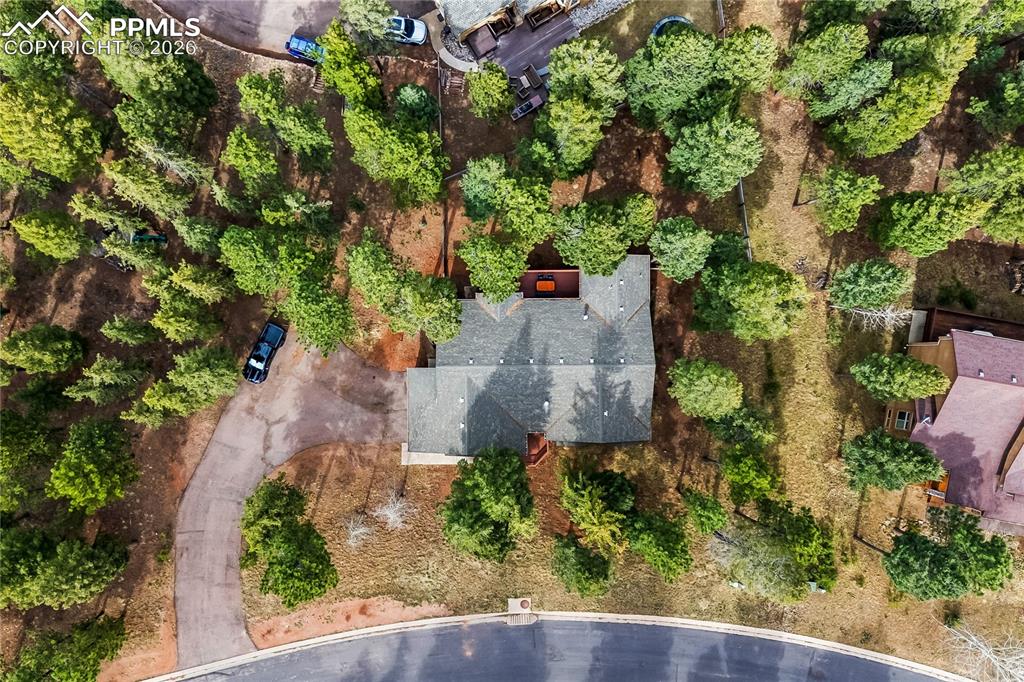 1308 Spruce Ridge Lane Woodland Park CO 80863