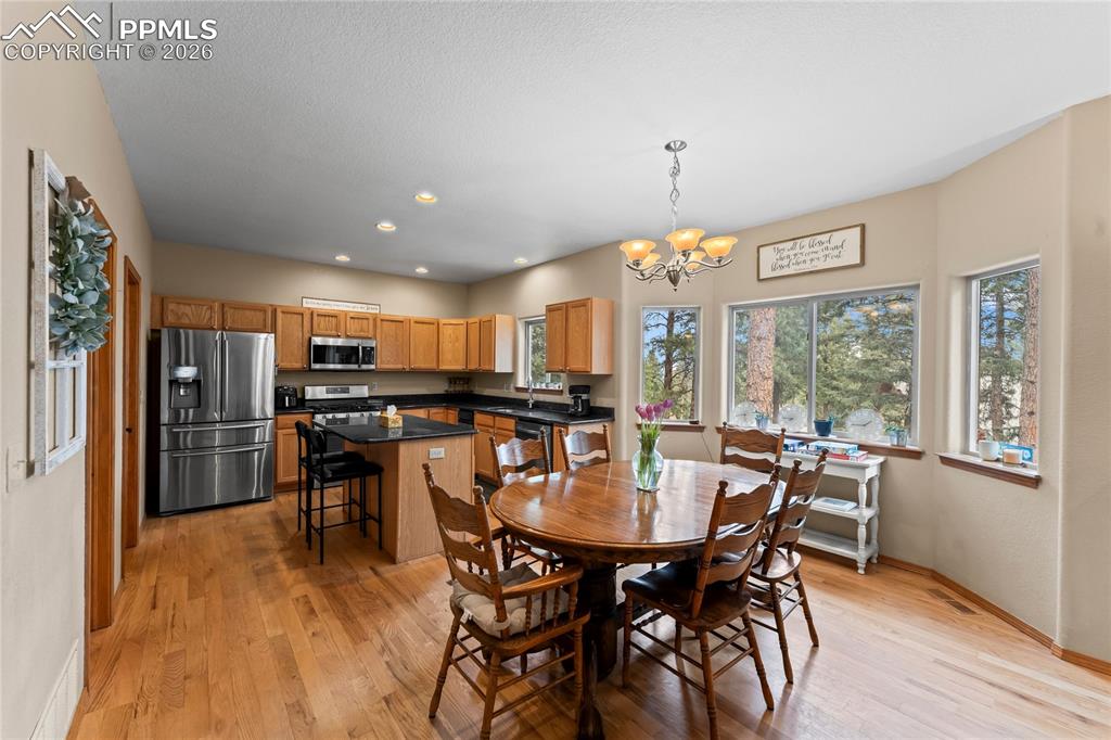 1308 Spruce Ridge Lane Woodland Park CO 80863