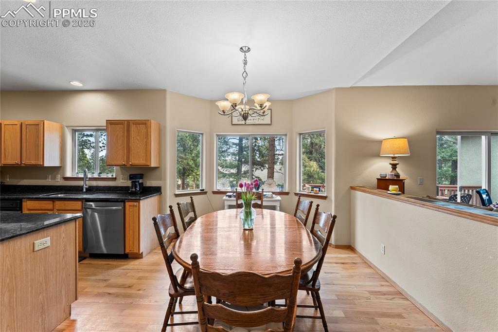 1308 Spruce Ridge Lane Woodland Park CO 80863