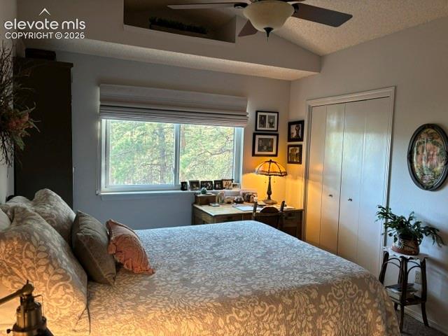 540 Greenway Court Woodland Park CO 80863