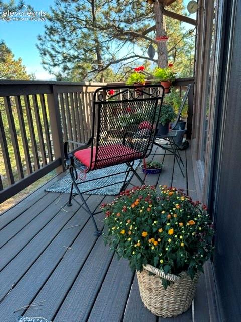 540 Greenway Court Woodland Park CO 80863