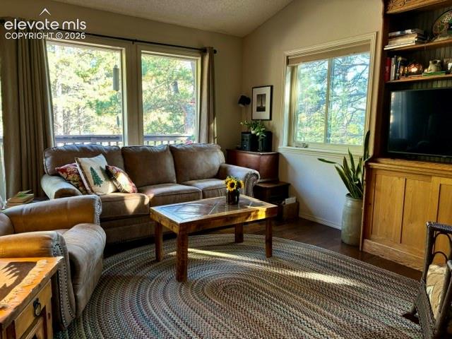 540 Greenway Court Woodland Park CO 80863