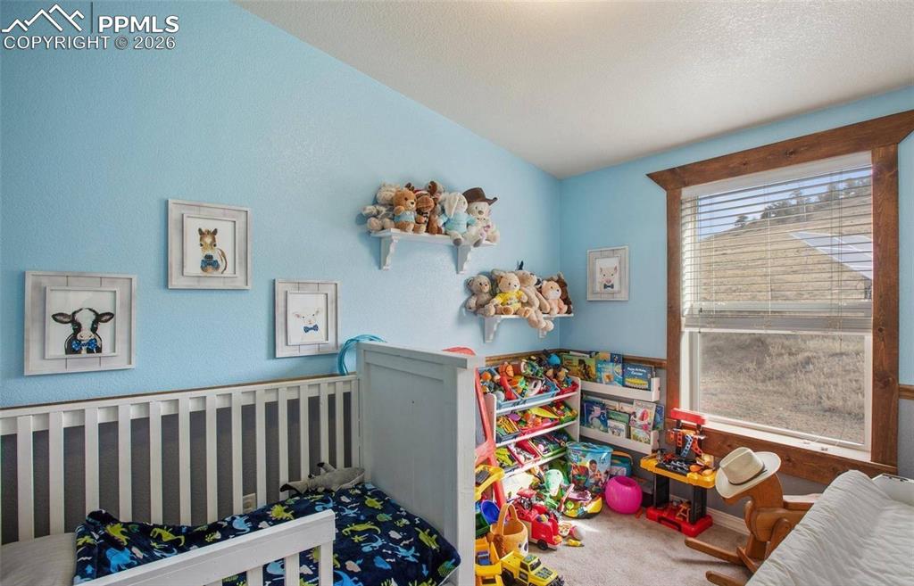 1888 Lakeview Drive Lake George CO 80827