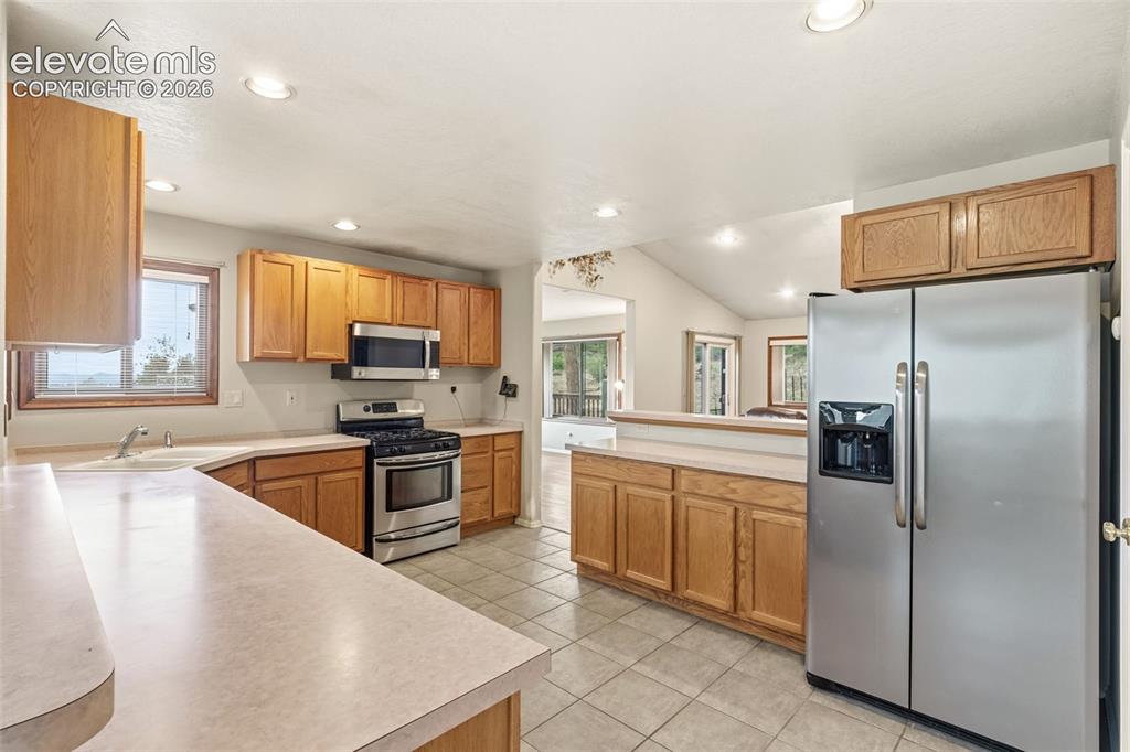 51 Carriage Drive Florissant CO 80816