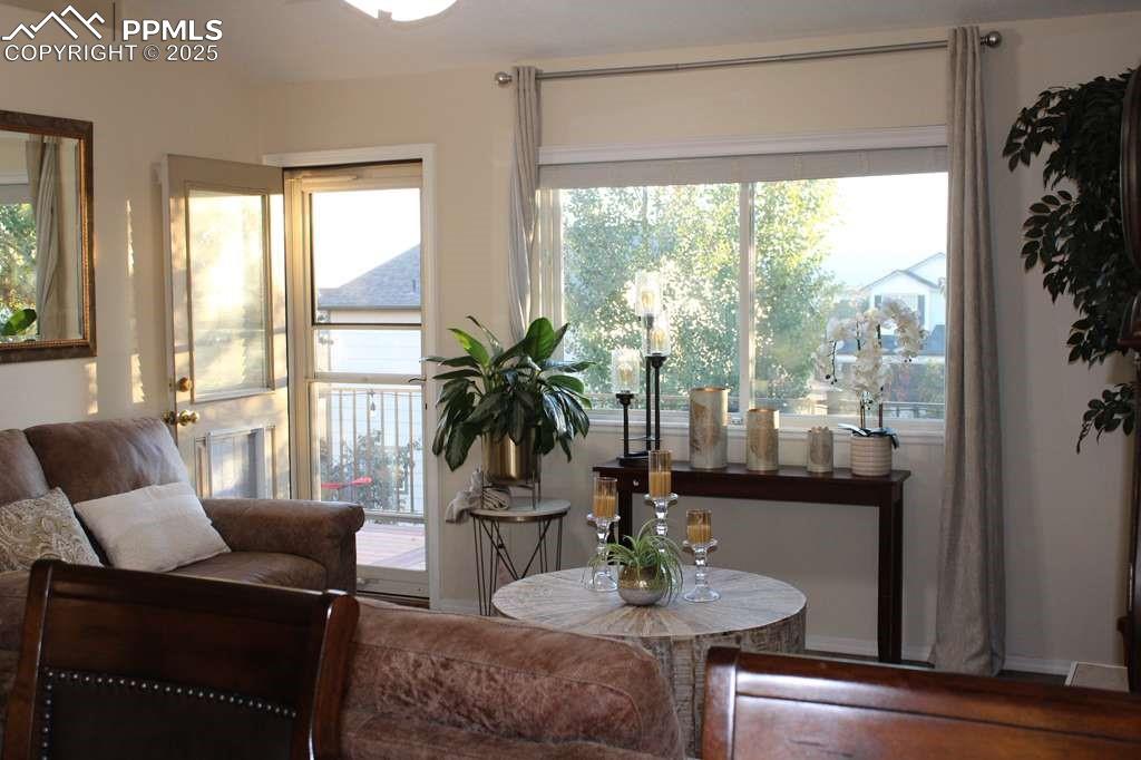 7137 Grand Prairie Drive Colorado Springs CO 80923