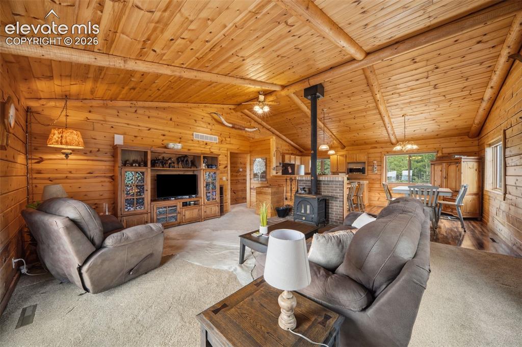 4269 County Road 51 Road Divide CO 80814