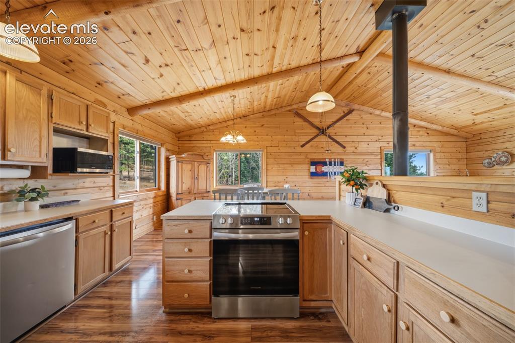 4269 County Road 51 Road Divide CO 80814