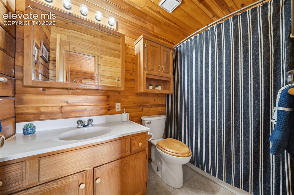 4269 County Road 51 Road Divide CO 80814