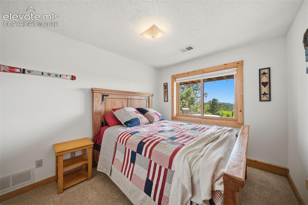 4269 County Road 51 Road Divide CO 80814