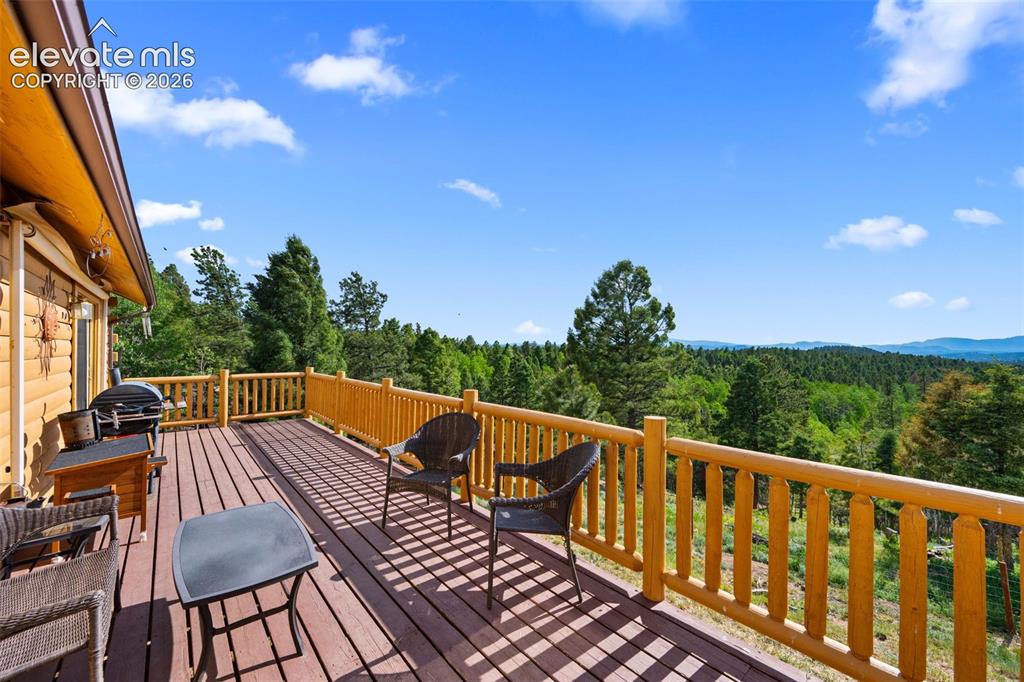 4269 County Road 51 Road Divide CO 80814