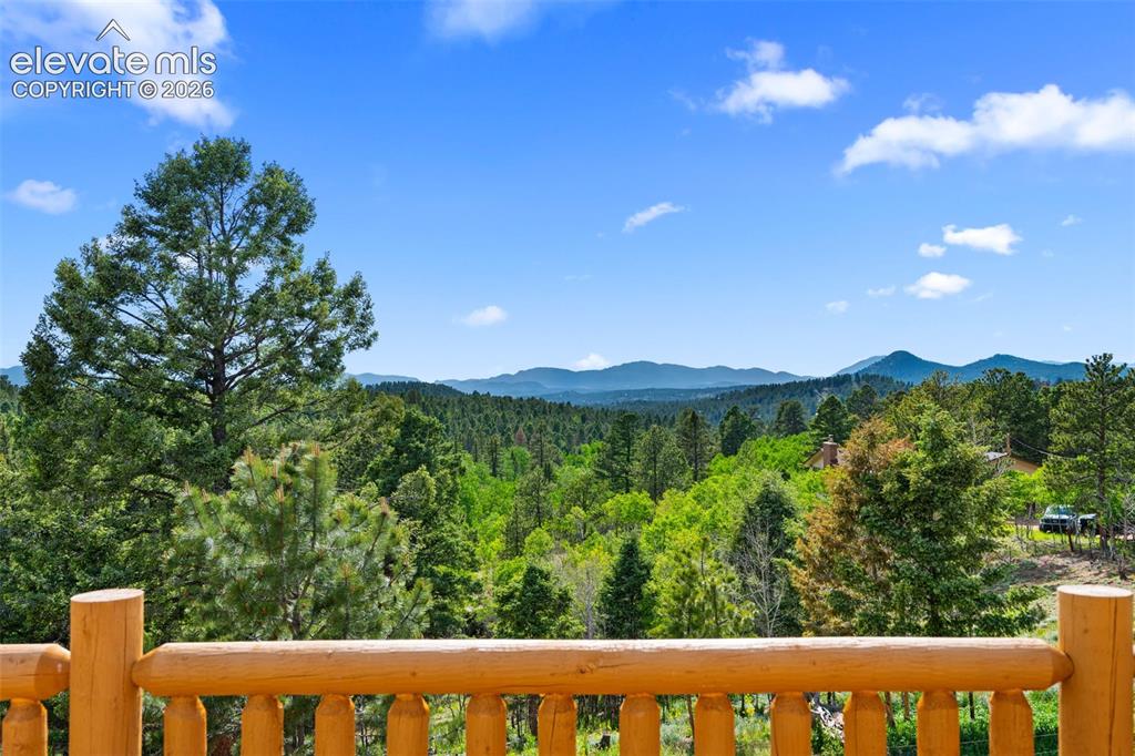 4269 County Road 51 Road Divide CO 80814