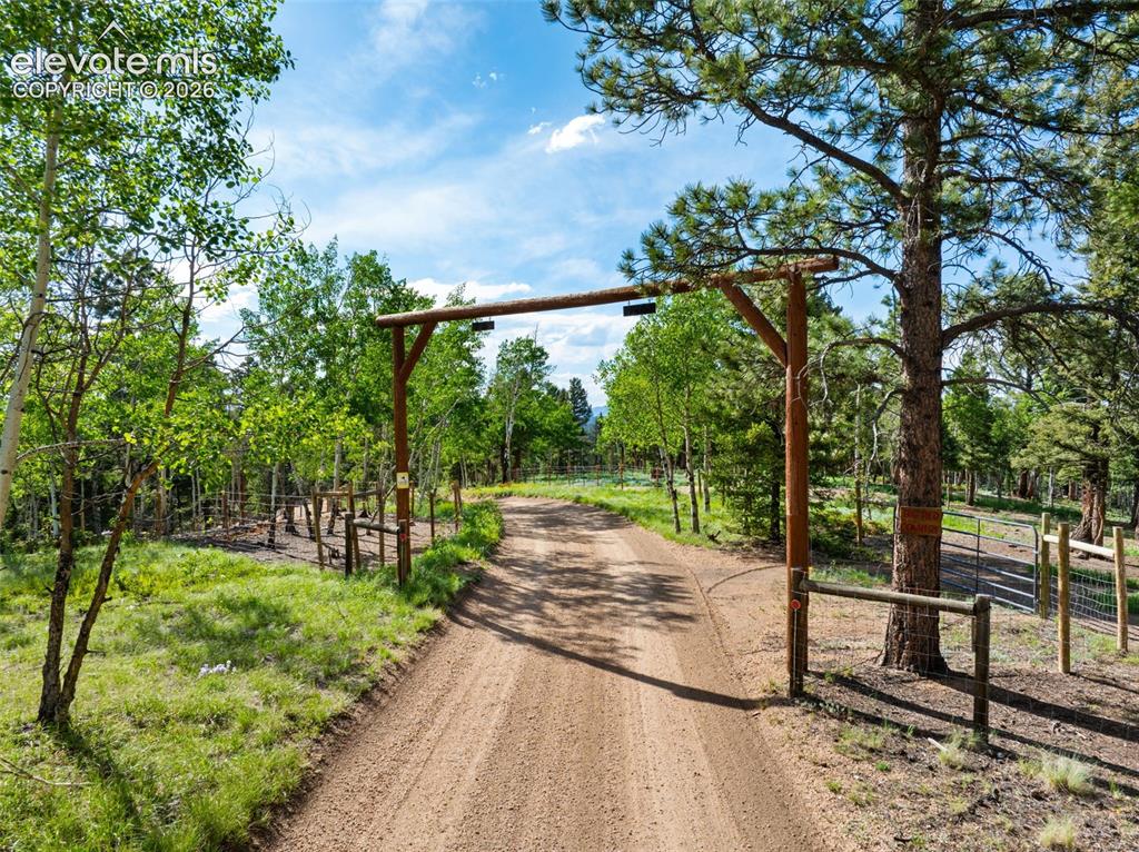 4269 County Road 51 Road Divide CO 80814