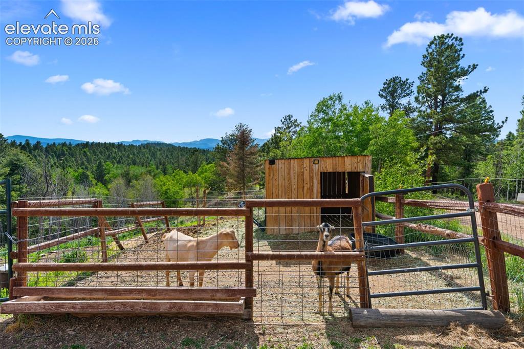 4269 County Road 51 Road Divide CO 80814
