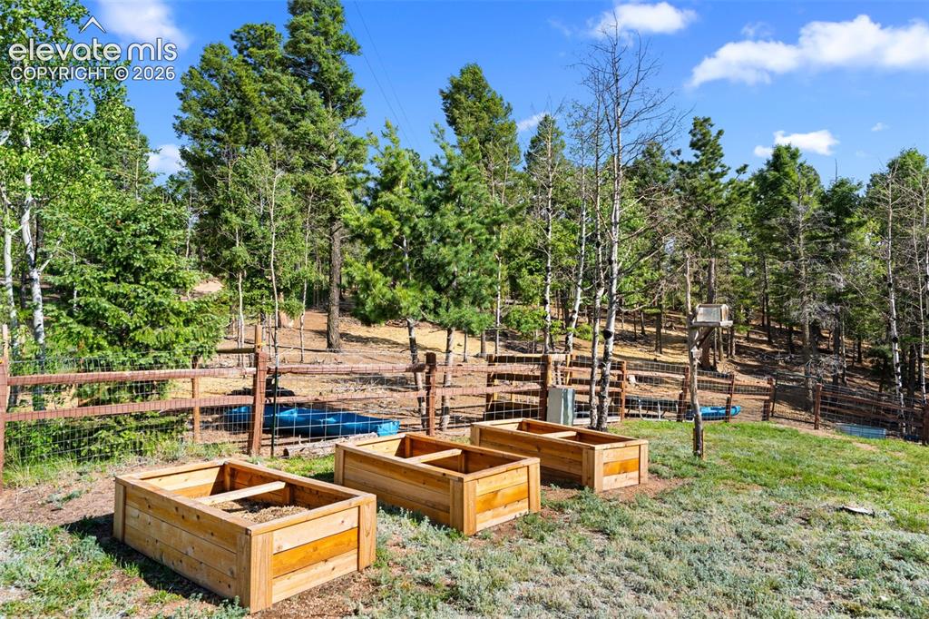 4269 County Road 51 Road Divide CO 80814