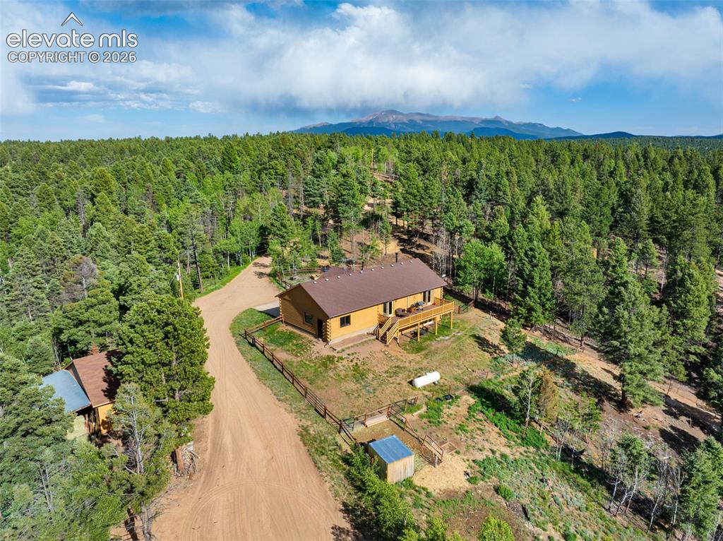 4269 County Road 51 Road Divide CO 80814