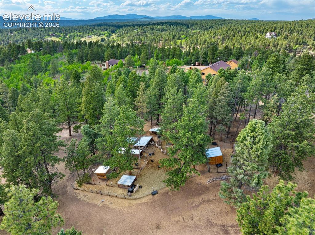 4269 County Road 51 Road Divide CO 80814