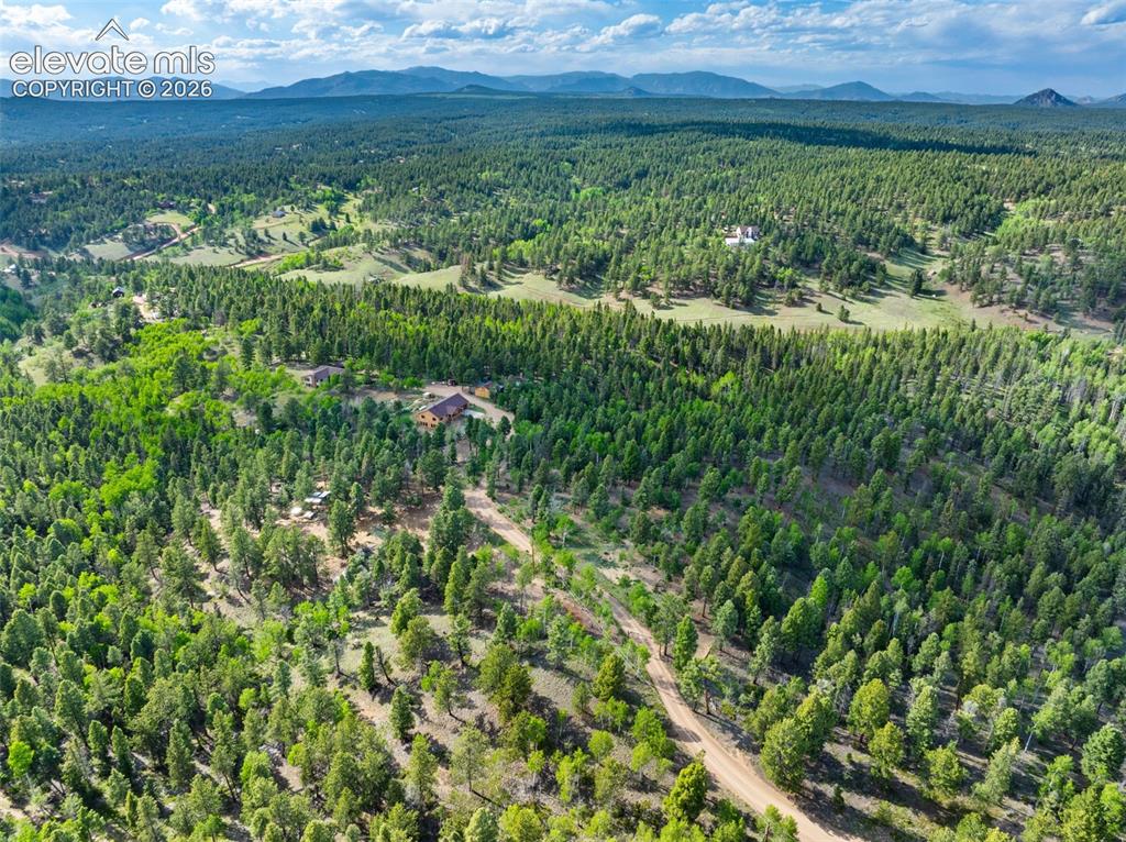4269 Cedar Mountain Road Divide CO 80814