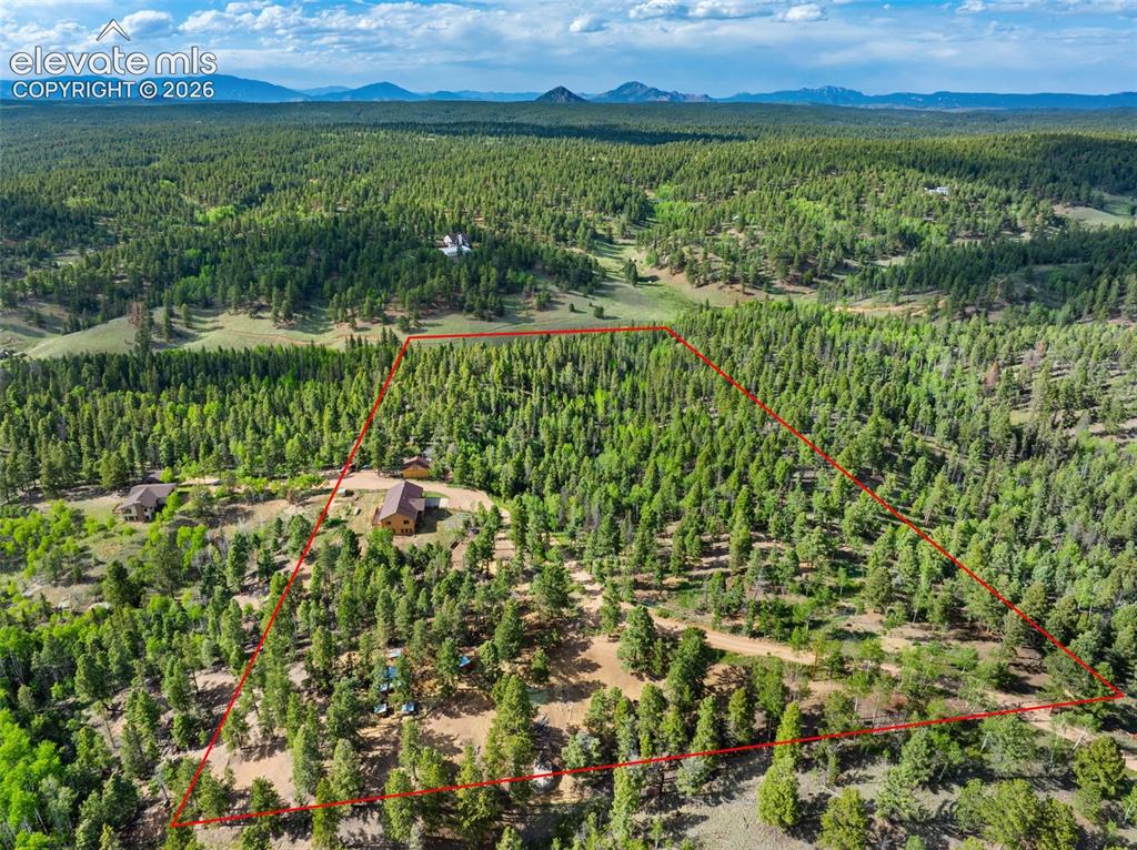 4269 Cedar Mountain Road Divide CO 80814