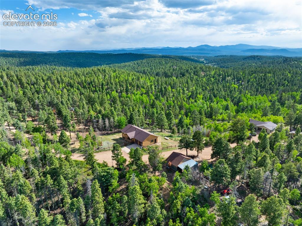4269 County Road 51 Road Divide CO 80814