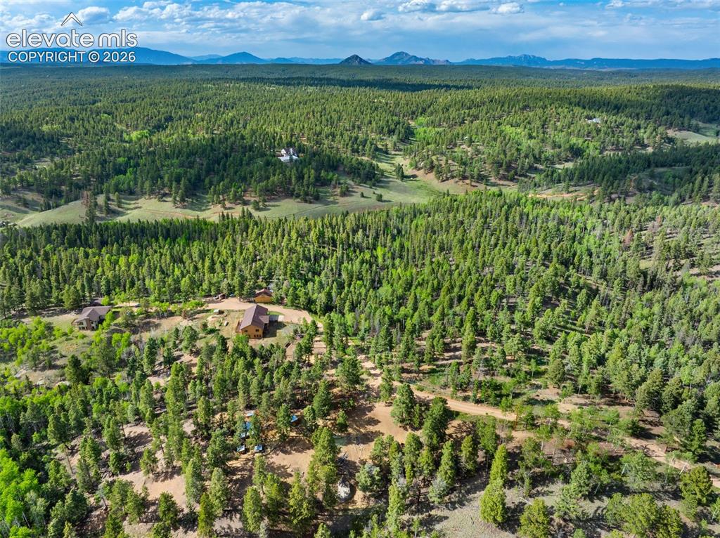 4269 County Road 51 Road Divide CO 80814