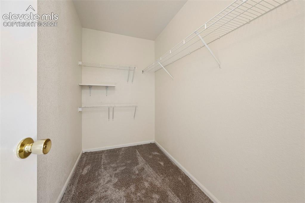 7853 Firecracker Trail Fountain CO 80817