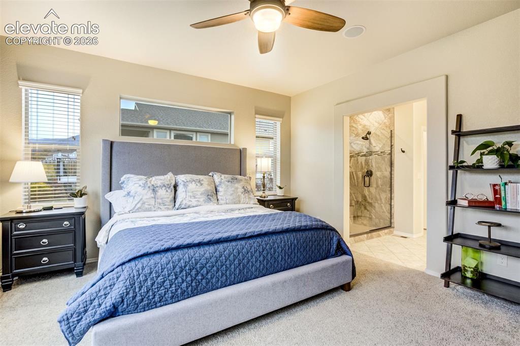 3069 Lakefront Drive Monument CO 80132